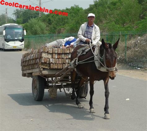 what are donkeys used for in china